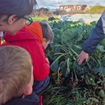 FB_IMG_1761641254467