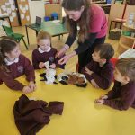 FB_IMG_1763418009862