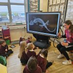 FB_IMG_1763418012298