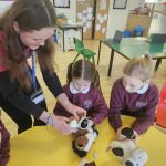 FB_IMG_1763418022483