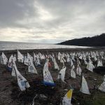 FB_IMG_1770063574266