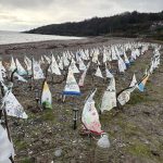 FB_IMG_1770063576634