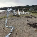 FB_IMG_1770063583006