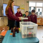 FB_IMG_1772565620728