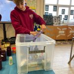 FB_IMG_1772565624975